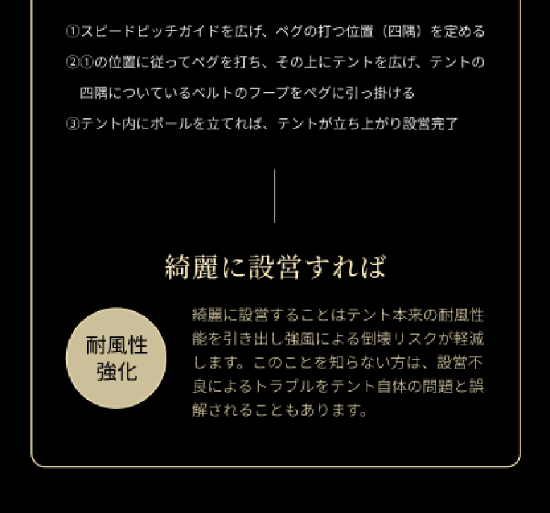 LP画像