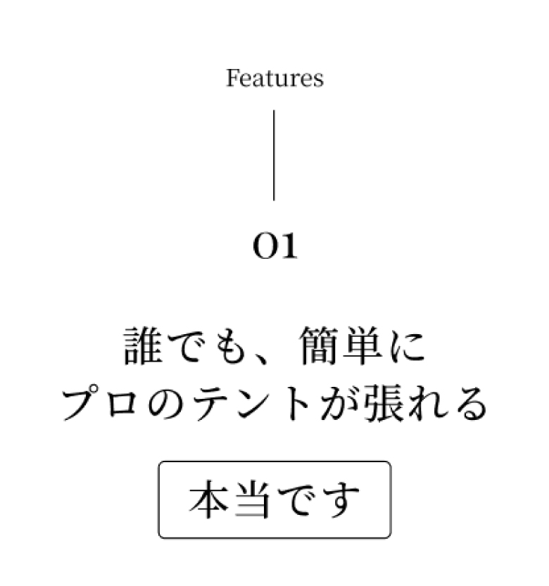 LP画像