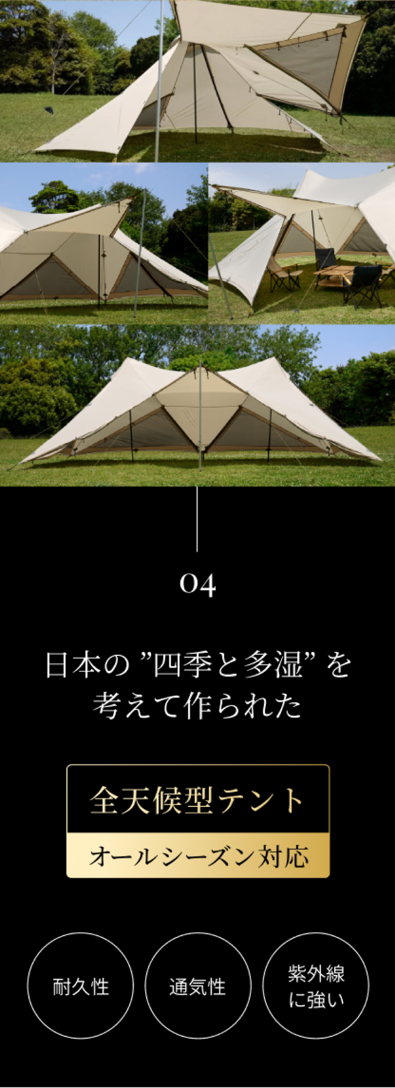 LP画像